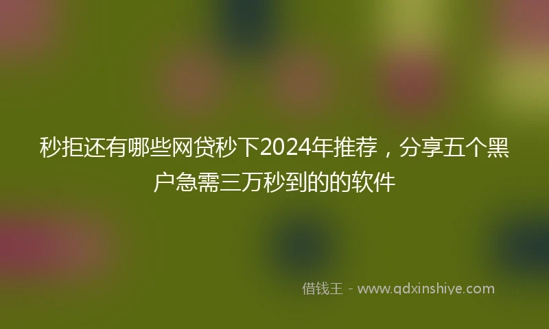 秒拒还有哪些网贷秒下2024年推荐，分享五个黑户急需三万秒到的的软件
