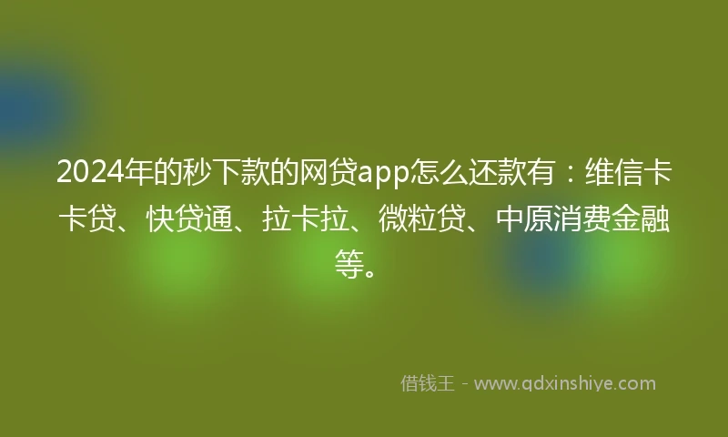 2024年的秒下款的网贷app怎么还款有：维信卡卡贷、快贷通、拉卡拉、微粒贷、中原消费金融等。