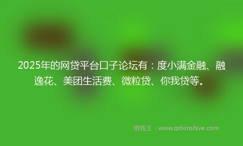 2025年的网贷平台口子论坛有：度小满金融、融逸花、美团生活费、微粒贷、你我贷等。