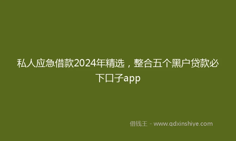 私人应急借款2024年精选，整合五个黑户贷款必下口子app