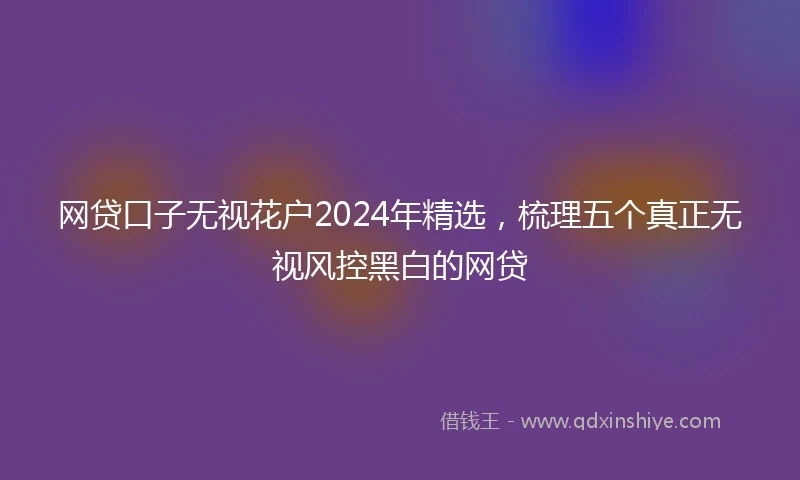 网贷口子无视花户2024年精选，梳理五个真正无视风控黑白的网贷