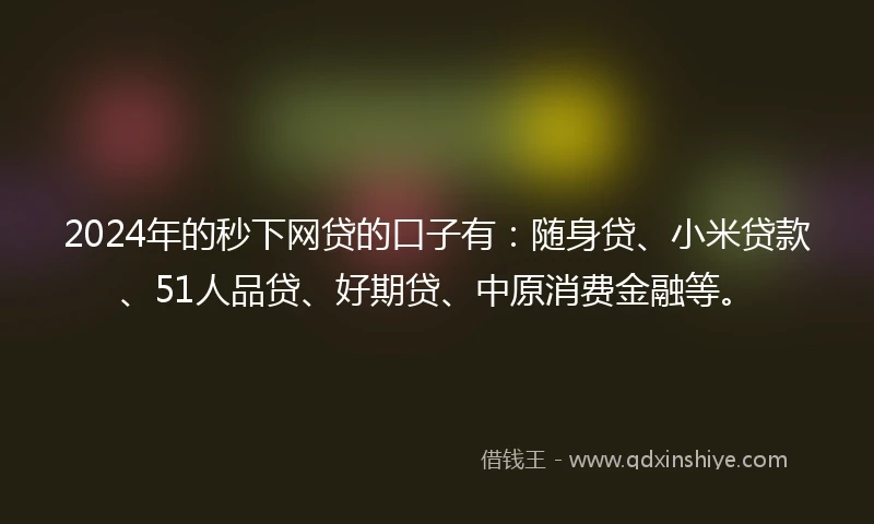 2024年的秒下网贷的口子有：随身贷、小米贷款、51人品贷、好期贷、中原消费金融等。