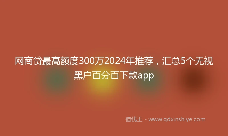 网商贷最高额度300万2024年推荐，汇总5个无视黑户百分百下款app
