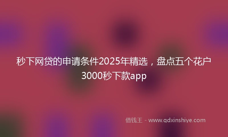秒下网贷的申请条件2025年精选，盘点五个花户3000秒下款app