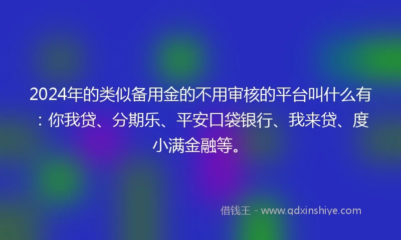 2024年的类似备用金的不用审核的平台叫什么有：你我贷、分期乐、平安口袋银行、我来贷、度小满金融等。