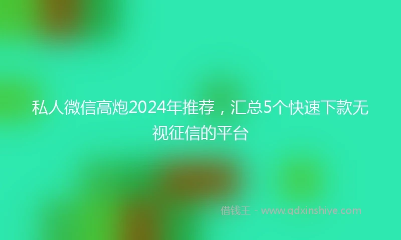 私人微信高炮2024年推荐，汇总5个快速下款无视征信的平台