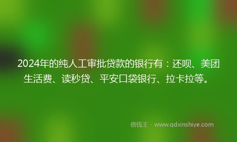 2024年的纯人工审批贷款的银行有：还呗、美团生活费、读秒贷、平安口袋银行、拉卡拉等。