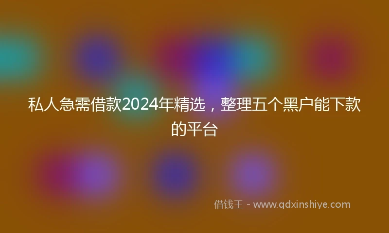 私人急需借款2024年精选，整理五个黑户能下款的平台