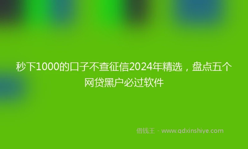 秒下1000的口子不查征信2024年精选，盘点五个网贷黑户必过软件