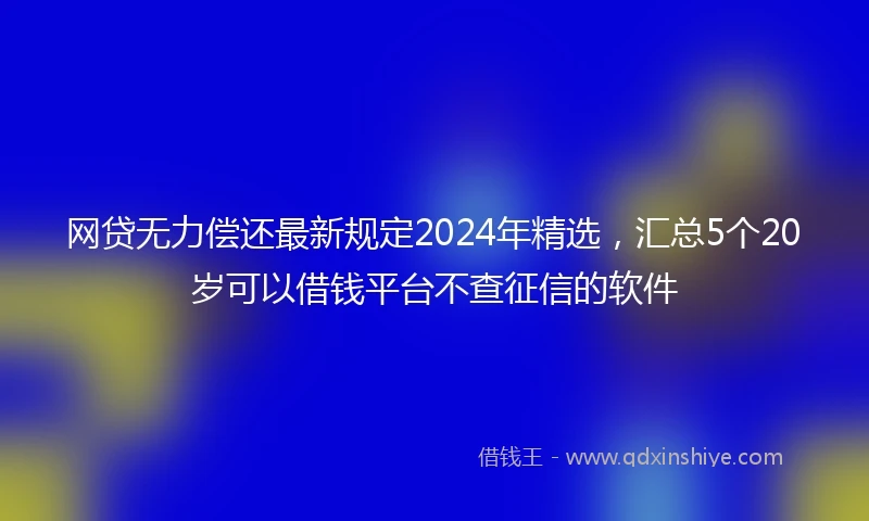 网贷无力偿还最新规定2024年精选，汇总5个20岁可以借钱平台不查征信的软件