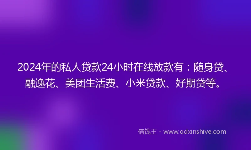 2024年的私人贷款24小时在线放款有：随身贷、融逸花、美团生活费、小米贷款、好期贷等。