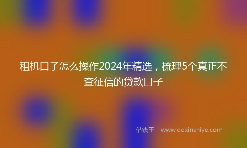 租机口子怎么操作2024年精选，梳理5个真正不查征信的贷款口子