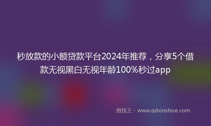 秒放款的小额贷款平台2024年推荐，分享5个借款无视黑白无视年龄100%秒过app