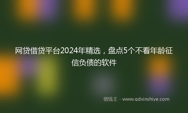网贷借贷平台2024年精选，盘点5个不看年龄征信负债的软件