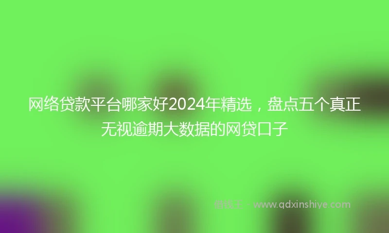 网络贷款平台哪家好2024年精选，盘点五个真正无视逾期大数据的网贷口子