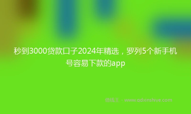 秒到3000贷款口子2024年精选，罗列5个新手机号容易下款的app