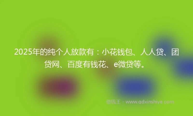 2025年的纯个人放款有：小花钱包、人人贷、团贷网、百度有钱花、e微贷等。