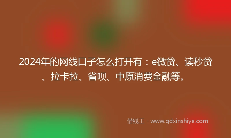 2024年的网线口子怎么打开有:e微贷、读秒贷、拉卡拉、省呗、中原消费金融等。