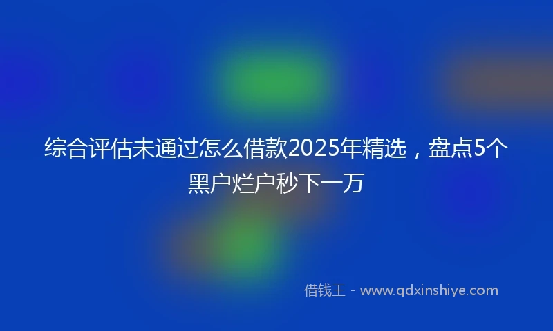 综合评估未通过怎么借款2025年精选，盘点5个黑户烂户秒下一万
