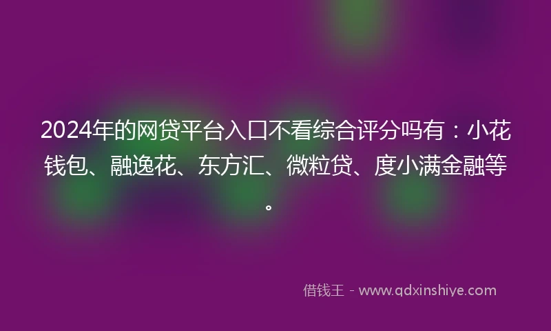 2024年的网贷平台入口不看综合评分吗有：小花钱包、融逸花、东方汇、微粒贷、度小满金融等。