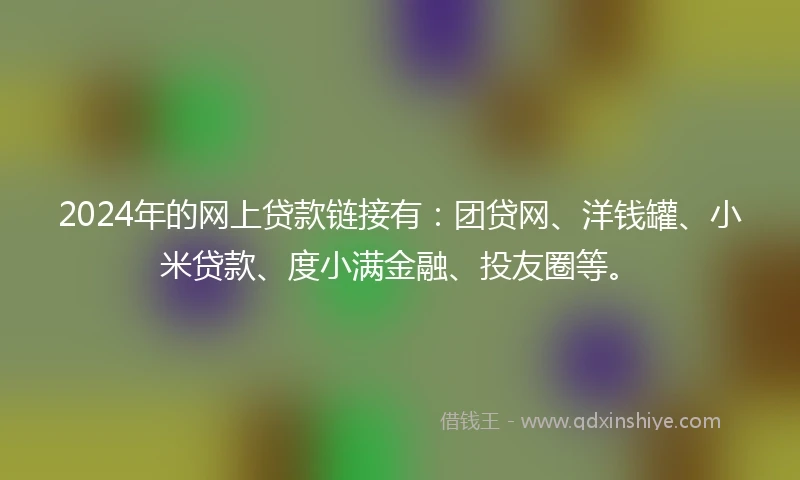 2024年的网上贷款链接有：团贷网、洋钱罐、小米贷款、度小满金融、投友圈等。