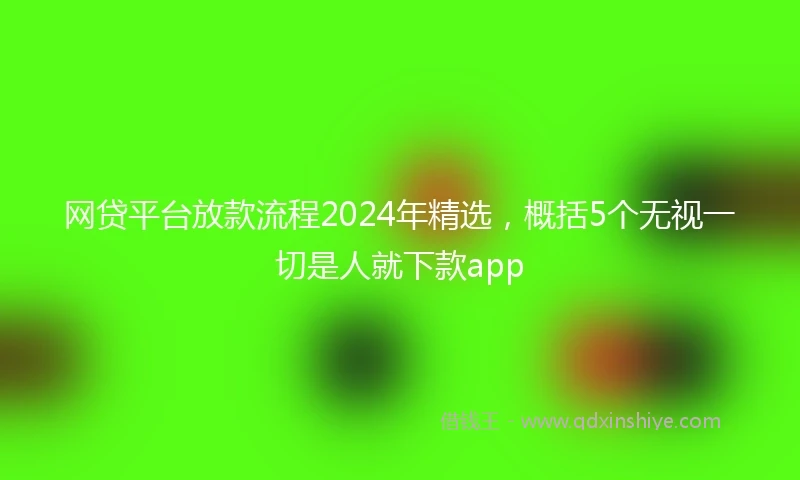 网贷平台放款流程2024年精选，概括5个无视一切是人就下款app