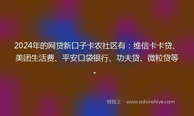 2024年的网贷新口子卡农社区有：维信卡卡贷、美团生活费、平安口袋银行、功夫贷、微粒贷等。