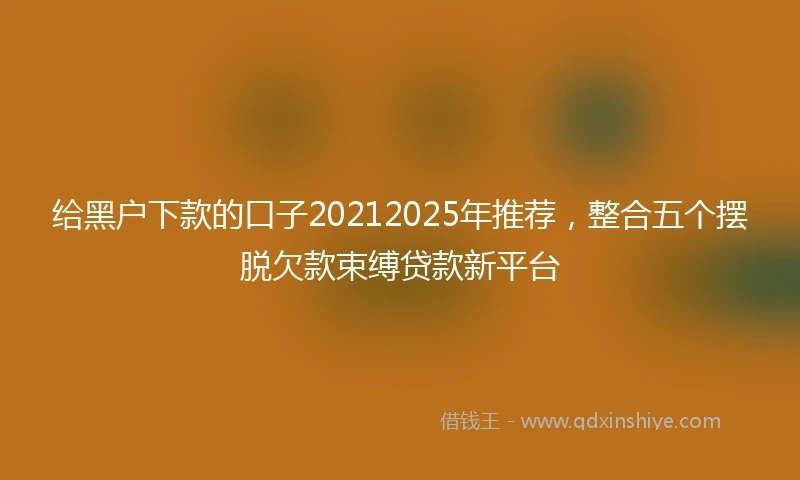 给黑户下款的口子20212025年推荐,整合五个摆脱欠款束缚贷款新平台