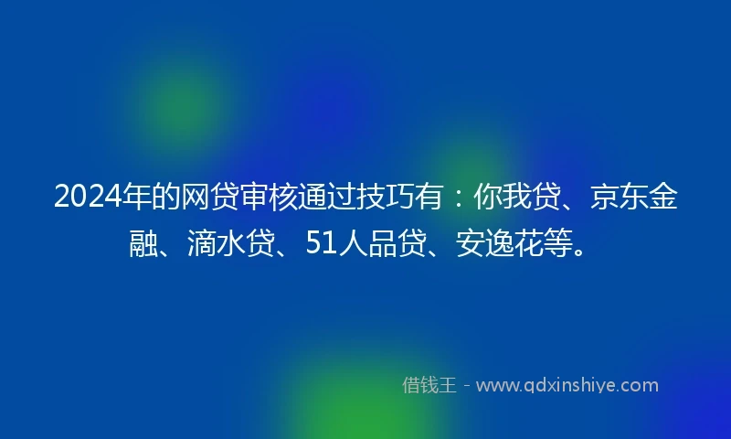 2024年的网贷审核通过技巧有：你我贷、京东金融、滴水贷、51人品贷、安逸花等。