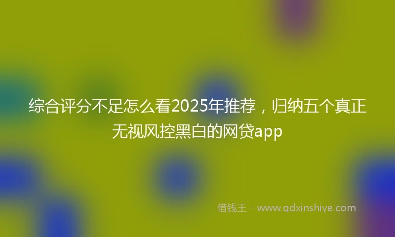 综合评分不足怎么看2025年推荐，归纳五个真正无视风控黑白的网贷app