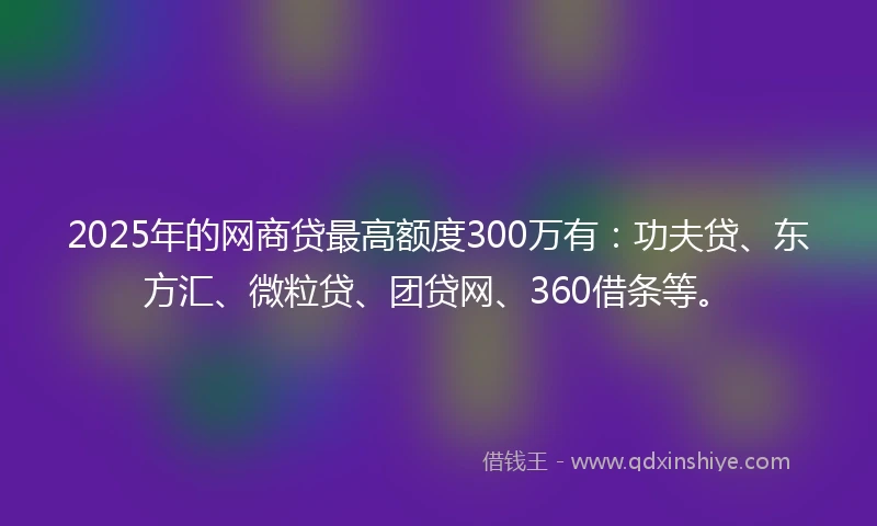 2025年的网商贷最高额度300万有：功夫贷、东方汇、微粒贷、团贷网、360借条等。