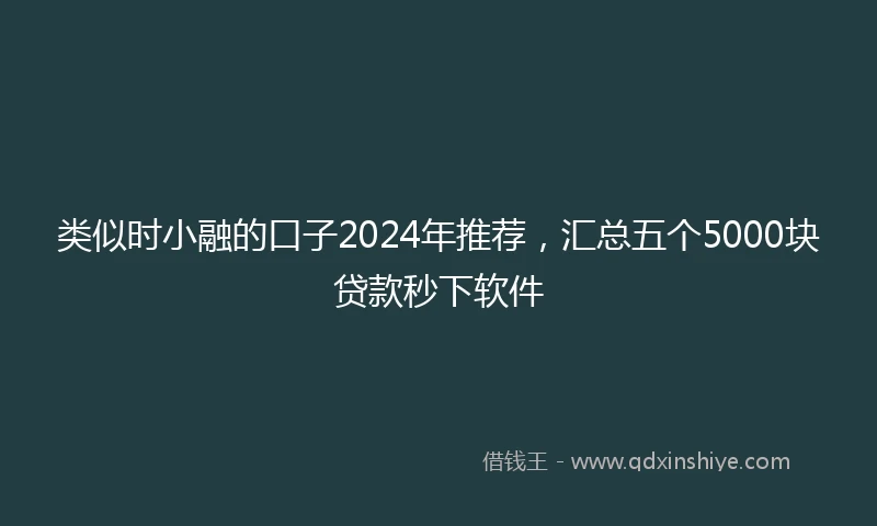 类似时小融的口子2024年推荐，汇总五个5000块贷款秒下软件