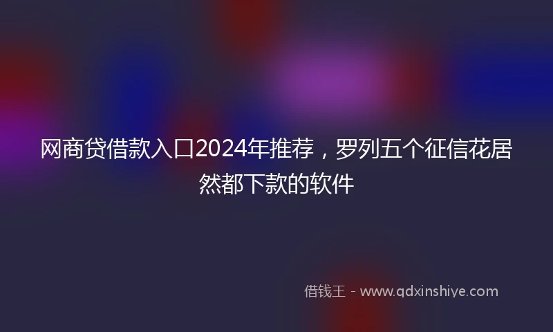 网商贷借款入口2024年推荐，罗列五个征信花居然都下款的软件