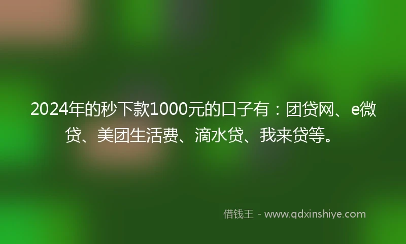 2024年的秒下款1000元的口子有：团贷网、e微贷、美团生活费、滴水贷、我来贷等。