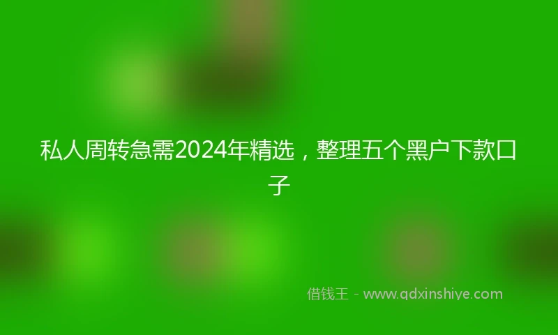 私人周转急需2024年精选，整理五个黑户下款口子