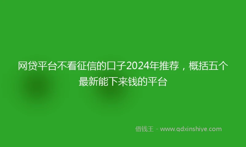 网贷平台不看征信的口子2024年推荐，概括五个最新能下来钱的平台
