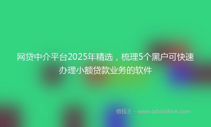 网贷中介平台2025年精选，梳理5个黑户可快速办理小额贷款业务的软件