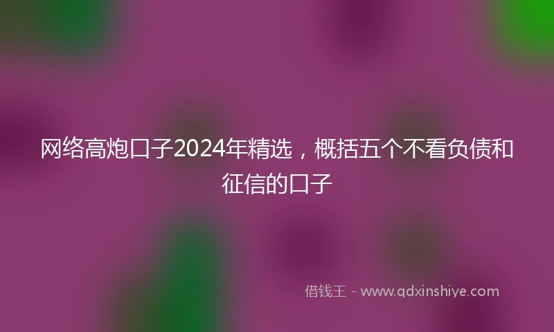 网络高炮口子2024年精选，概括五个不看负债和征信的口子