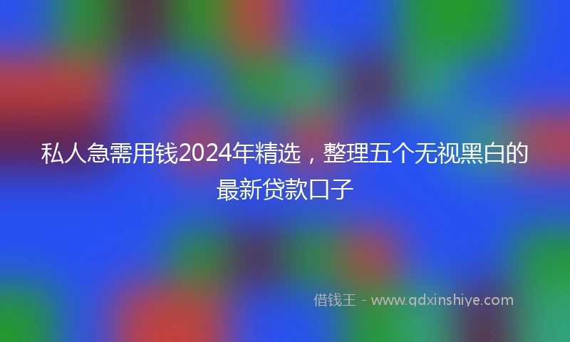 私人急需用钱2024年精选，整理五个无视黑白的最新贷款口子