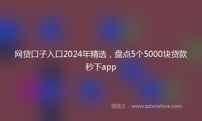 网贷口子入口2024年精选，盘点5个5000块贷款秒下app