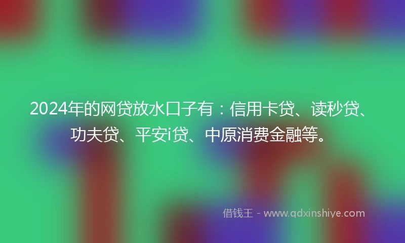 2024年的网贷放水口子有：信用卡贷、读秒贷、功夫贷、平安i贷、中原消费金融等。