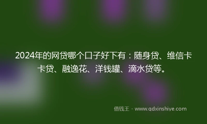 2024年的网贷哪个口子好下有：随身贷、维信卡卡贷、融逸花、洋钱罐、滴水贷等。
