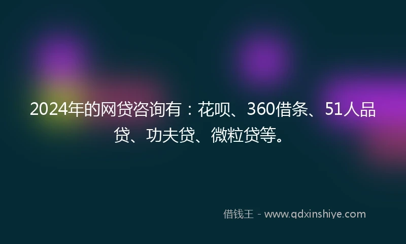 2024年的网贷咨询有：花呗、360借条、51人品贷、功夫贷、微粒贷等。