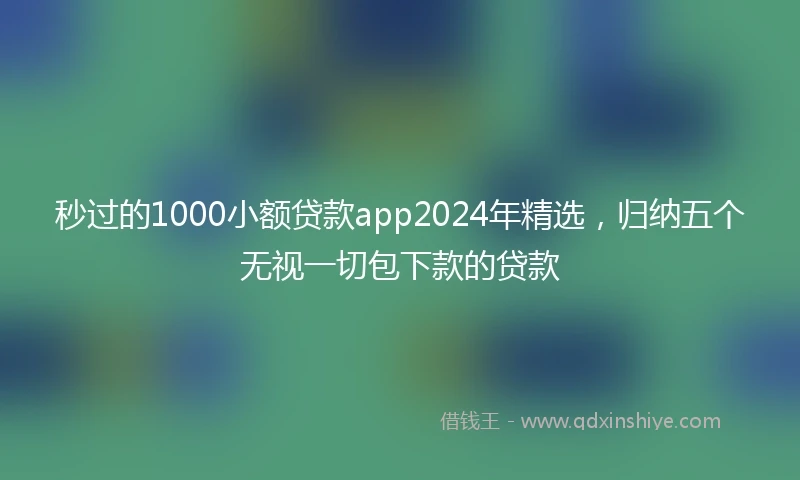 秒过的1000小额贷款app2024年精选，归纳五个无视一切包下款的贷款