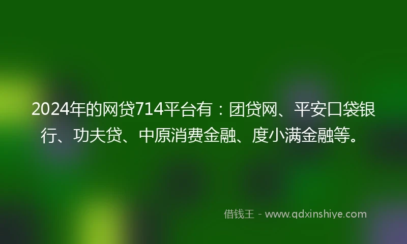 2024年的网贷714平台有：团贷网、平安口袋银行、功夫贷、中原消费金融、度小满金融等。