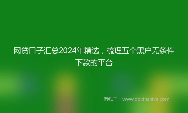 网贷口子汇总2024年精选，梳理五个黑户无条件下款的平台