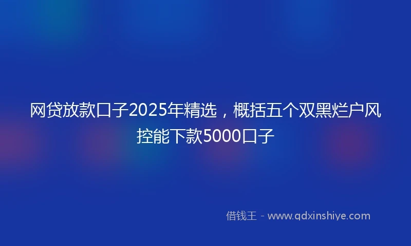 网贷放款口子2025年精选，概括五个双黑烂户风控能下款5000口子