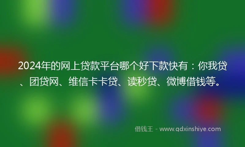 2024年的网上贷款平台哪个好下款快有：你我贷、团贷网、维信卡卡贷、读秒贷、微博借钱等。