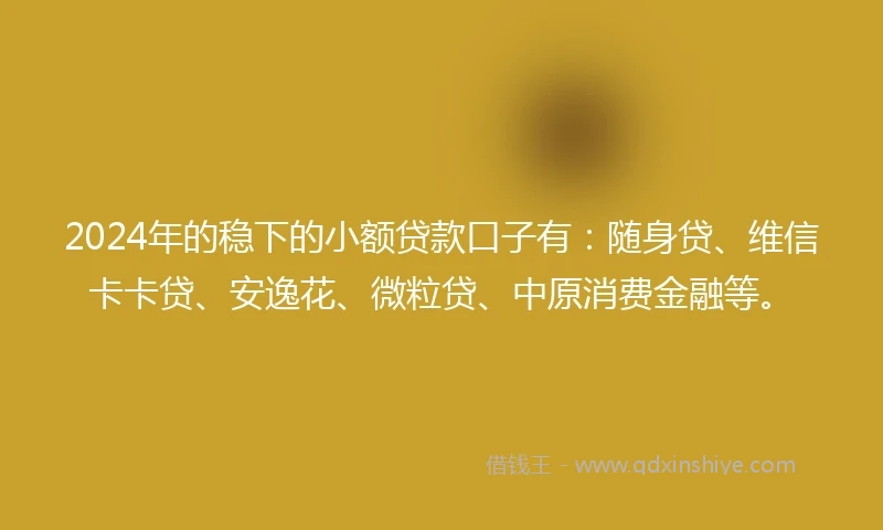 2024年的稳下的小额贷款口子有：随身贷、维信卡卡贷、安逸花、微粒贷、中原消费金融等。