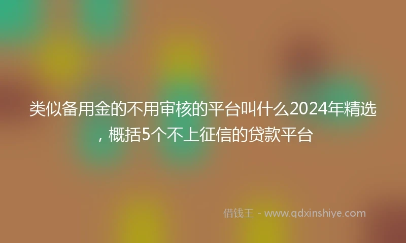 类似备用金的不用审核的平台叫什么2024年精选，概括5个不上征信的贷款平台